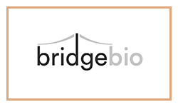 https://amyloidosisforum.org/wp-content/uploads/2022/10/bridge-bio-bronze.png